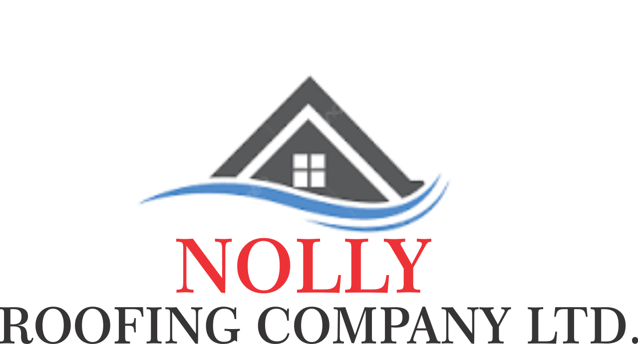 nollylogo